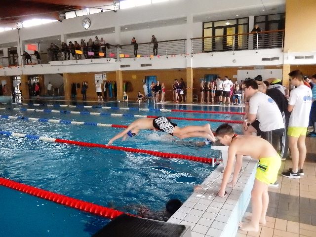 Városi úszó diákolimpia főképe